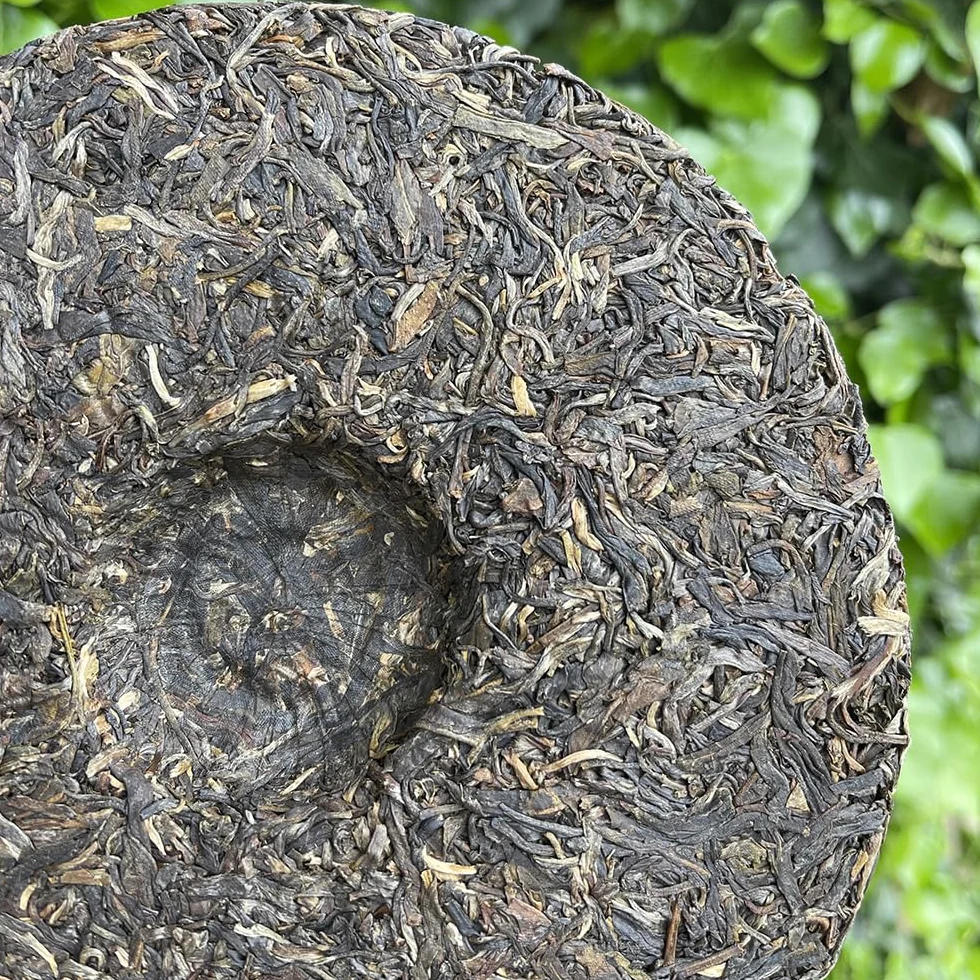 Tè Puer Sheng (crudo) Bulang Treasure 2020 Torta 357g - 10 g - Tea Soul