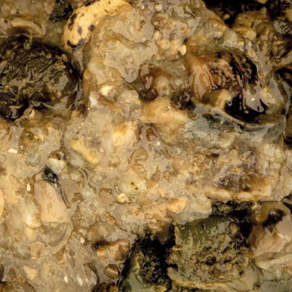 Attrattore Mussel Blend Nessuno
