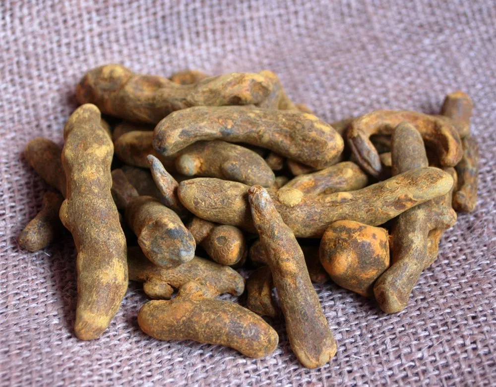 Curcuma intero 1 Kg