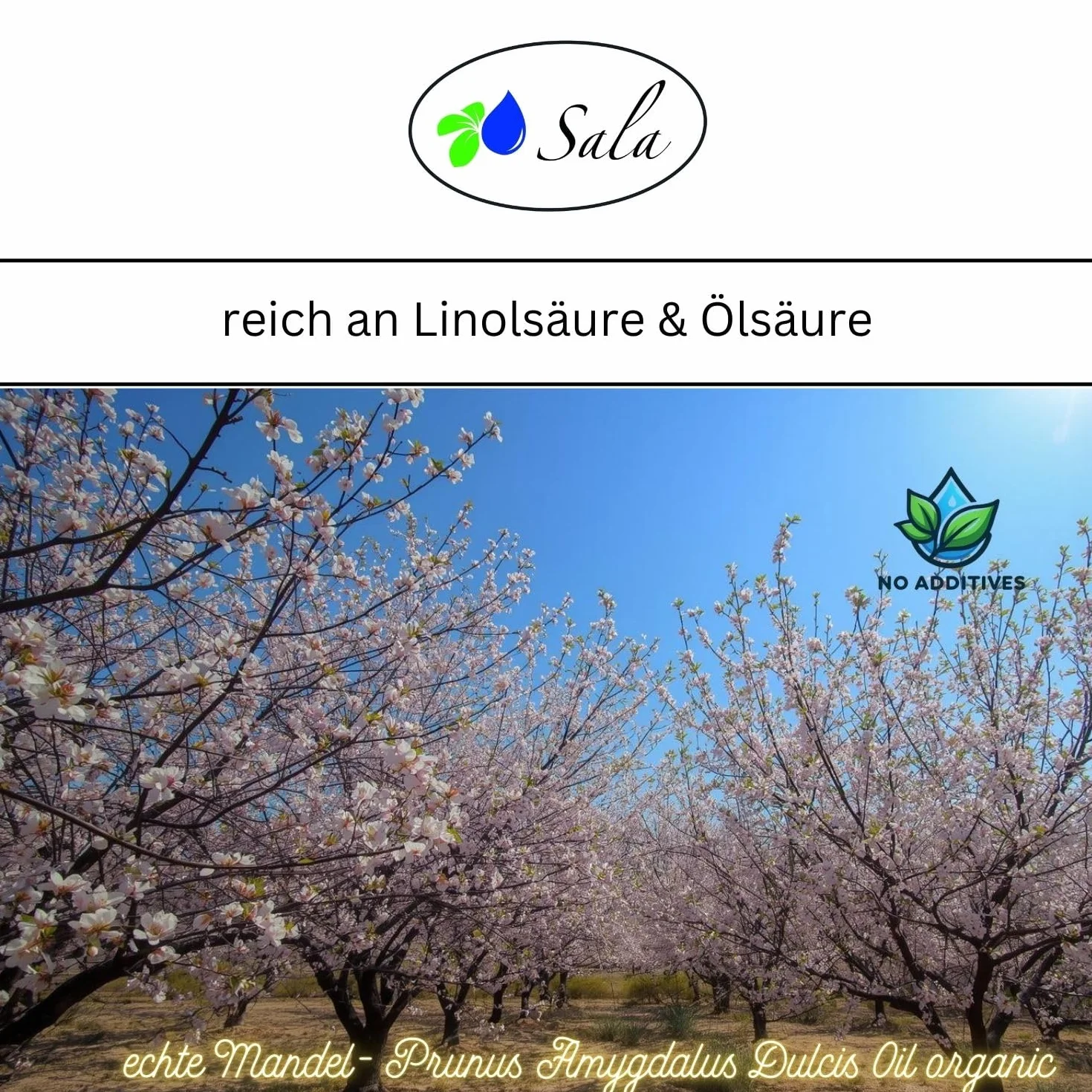 Sala Olio di mandorle biologico spremuto a freddo (flacone di vetro da 500 ml)