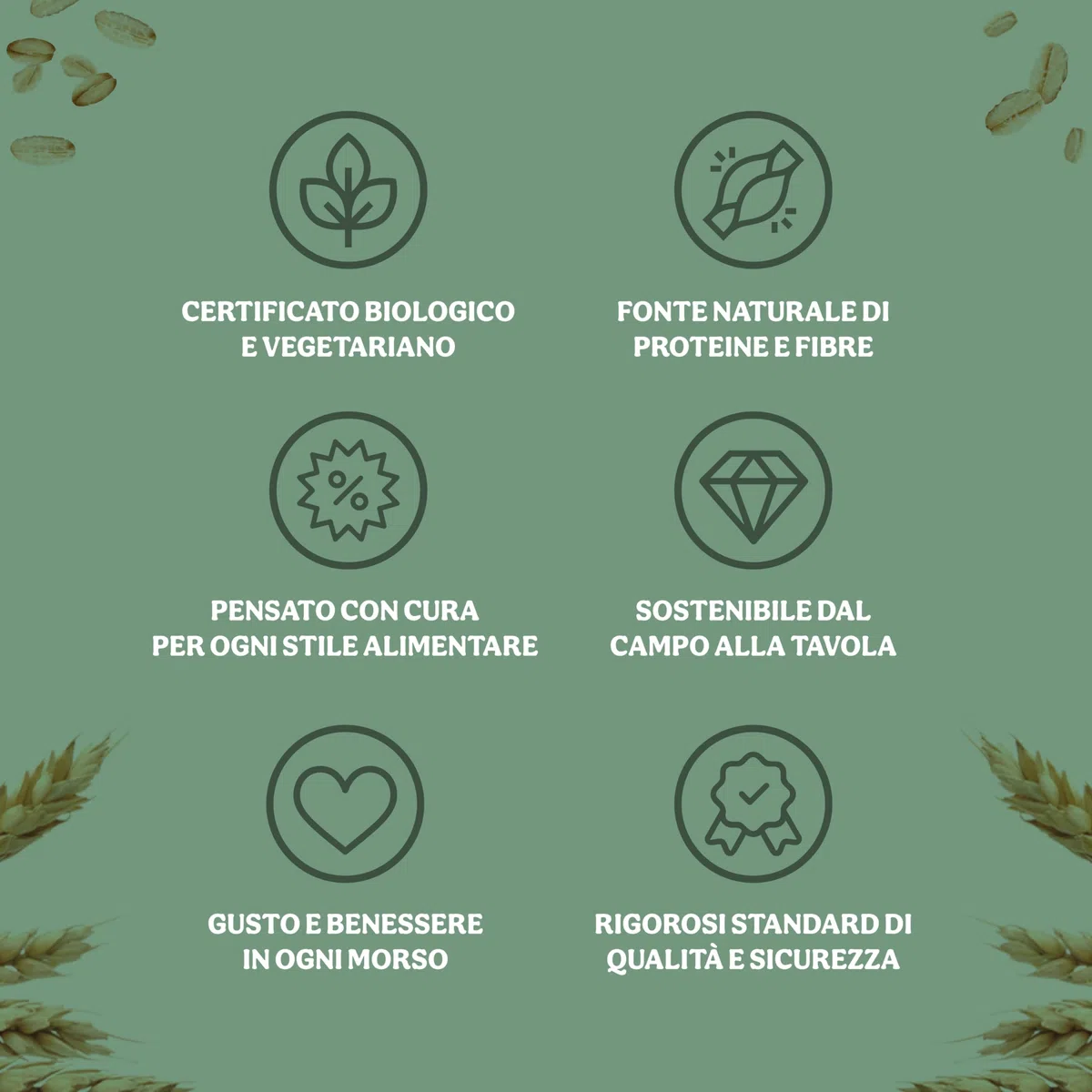 FIOCCHI DI AVENA INTEGRALI MIGNON SENZA GLUTINE