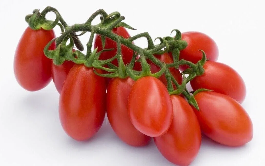 24x La Rosina Pomodorino Datterino di Collina, Pomodorini Italiani, lattina da 400g