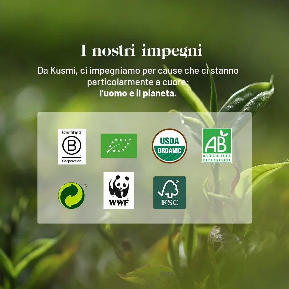 Kusmi Tea - Confezione Regalo di Tè Verdi Biologici Con Infusore - Cofanetto per Uomini e Donne - Verde alla Menta, al Gelsomino - Foglie Sfuse - 5 Scatole in Metallo da 25g