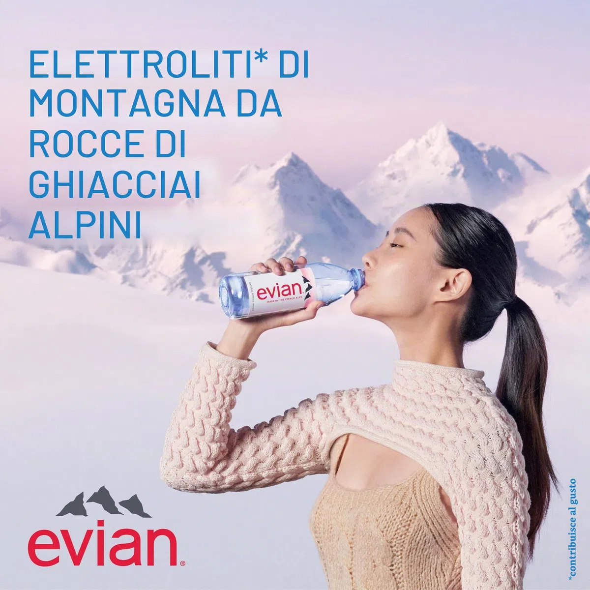 Evian - Acqua di sorgente naturale (una confezione da 12 bottiglie singole, ogni bottiglia è 1 litro) acqua di sorgente filtrata naturalmente in bottiglie grandi