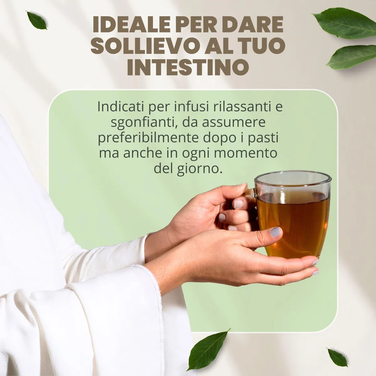 PATRIZIO BRESEGHELLO - Semi Finocchio Frutti Verdi Extra 100 g per Benessere Intestinale e Digestione - Semi di Finocchio per Tisana e Infuso 100% Naturali