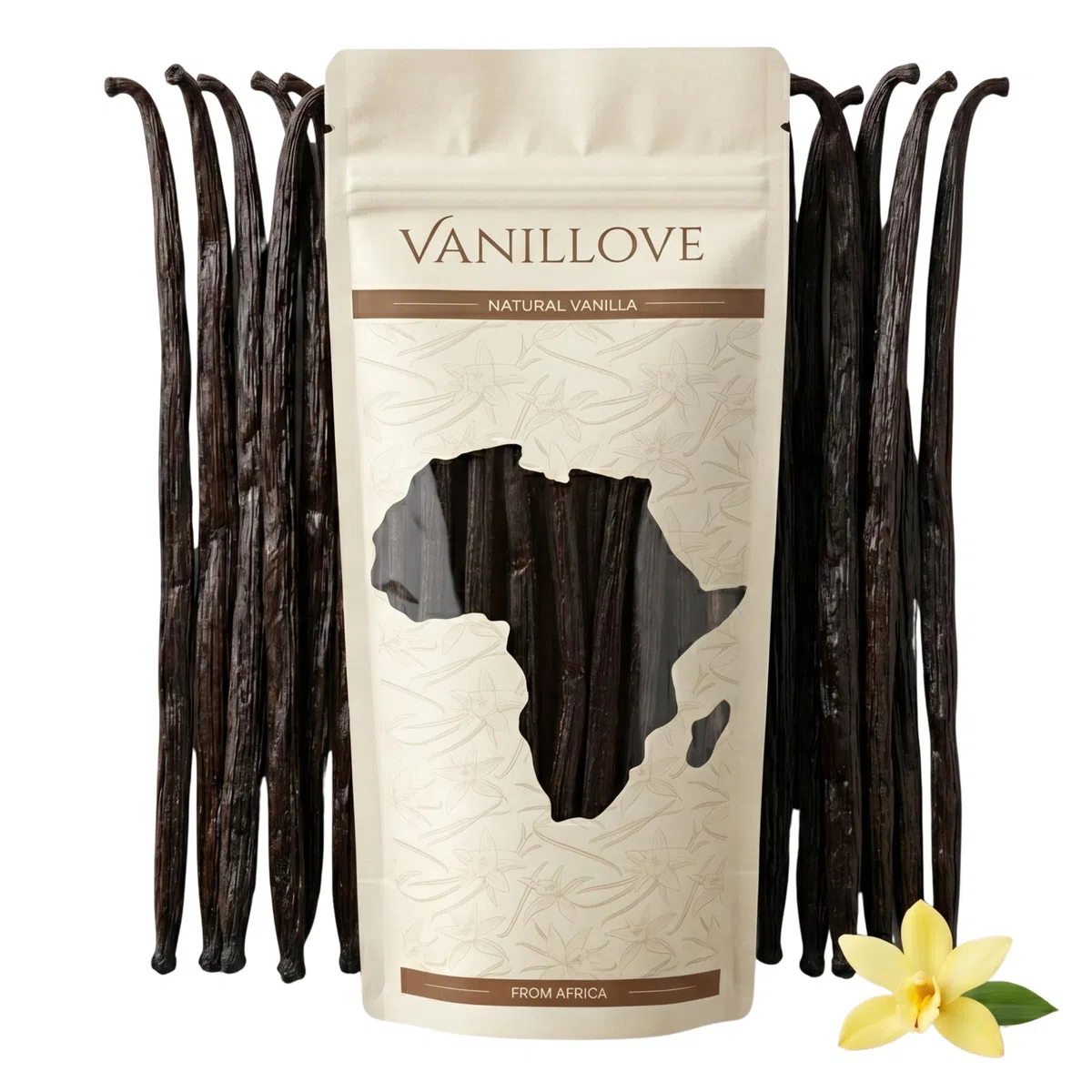 Baccelli di Vaniglia Bourbon XXL 15 Pezzi (16-18cm) - Bacche di Vaniglia Fresche dall'Uganda Classe A - Estratto di Vaniglia, Pasta di Vaniglia & Dolci - Vanilla Beans Gourmet