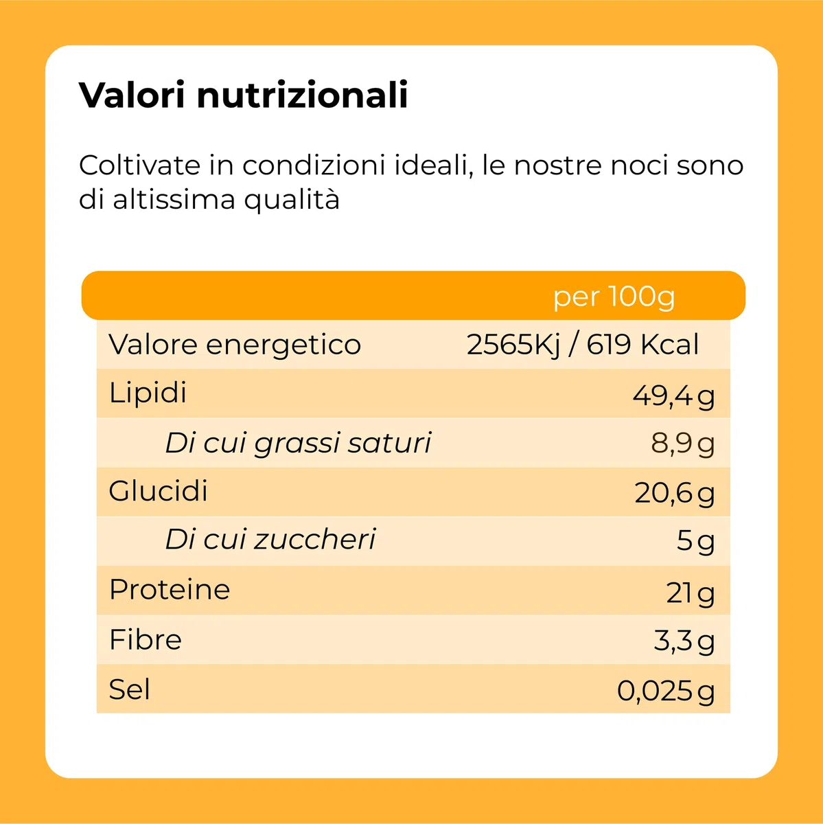 Miscela di noci 1 Kg (mandorle, nocciole, Anacardi, noci Pecan, noci del Brasile e gherigli di noce)