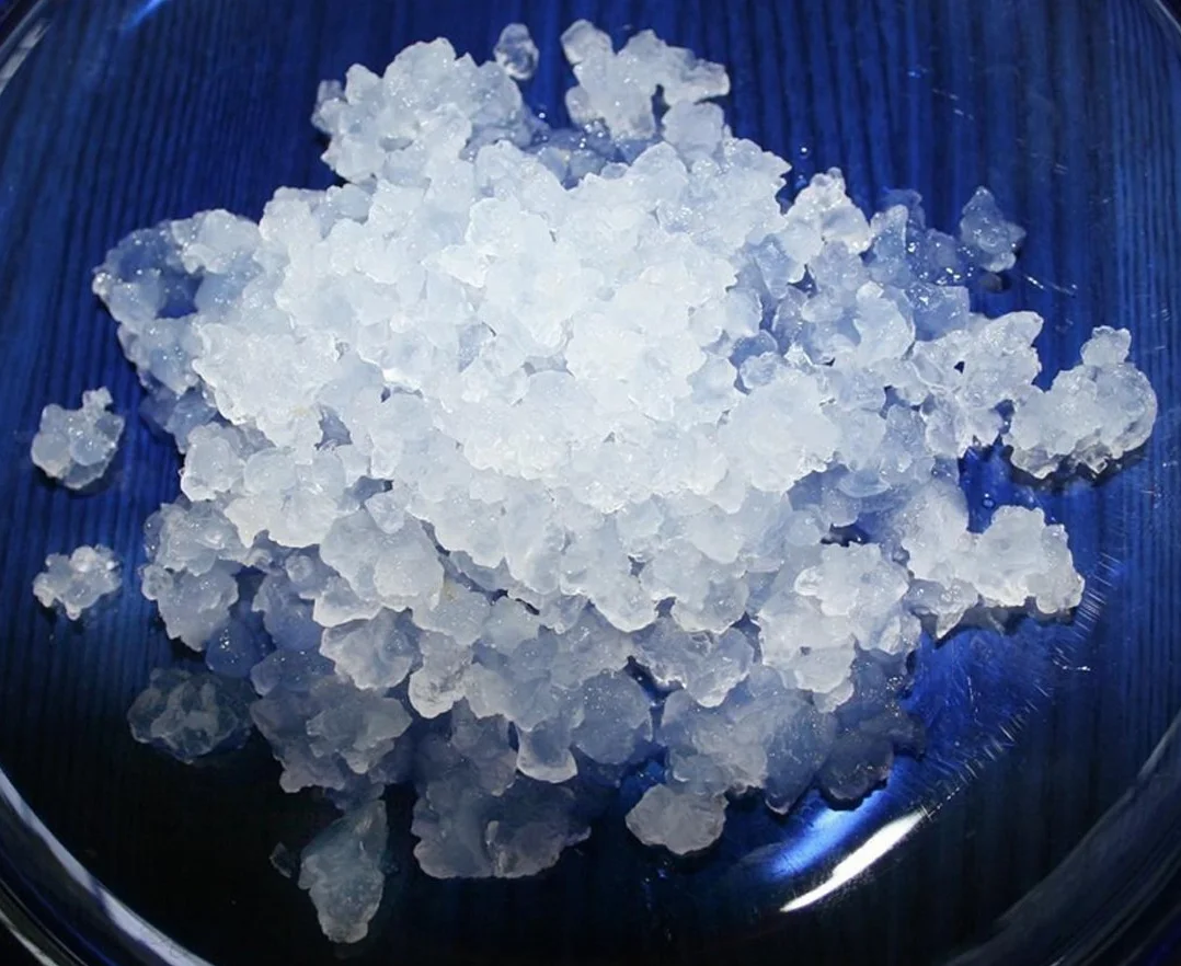 KEFIRALIA® Polvere 100g di Granuli Di Kéfir Di Acqua + Istruzioni + Ricette + Aiuto e consigli in italiano -