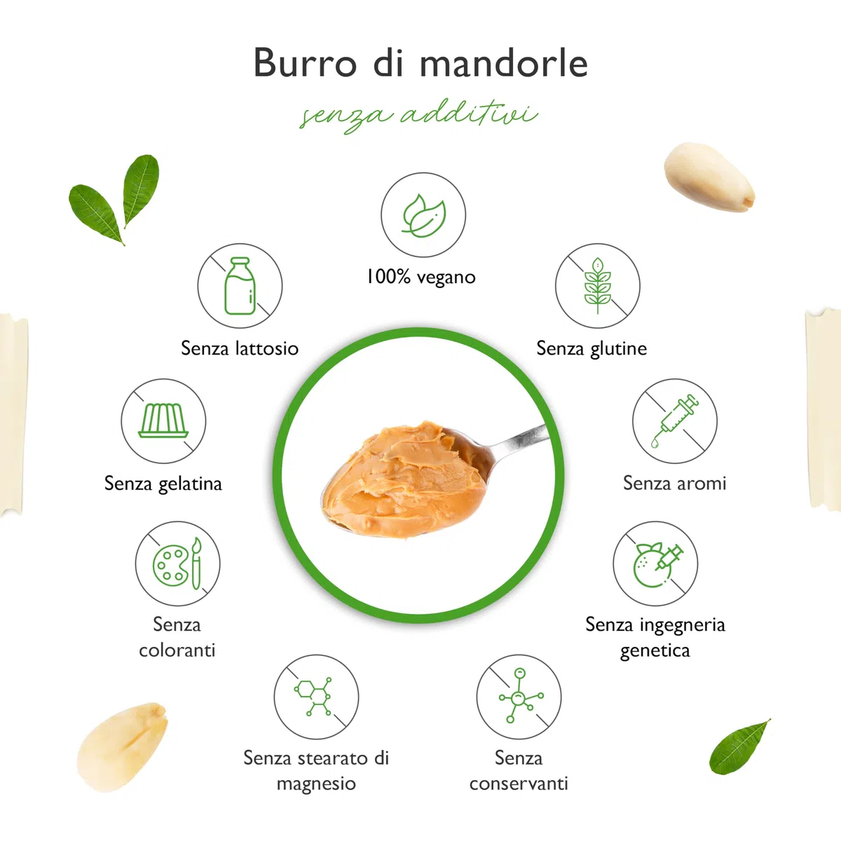 Burro di mandorle naturale liscio 1 kg – 100% mandorle sbollentate – Proteine elevate – Cremoso senza sale, olio o grasso di palma