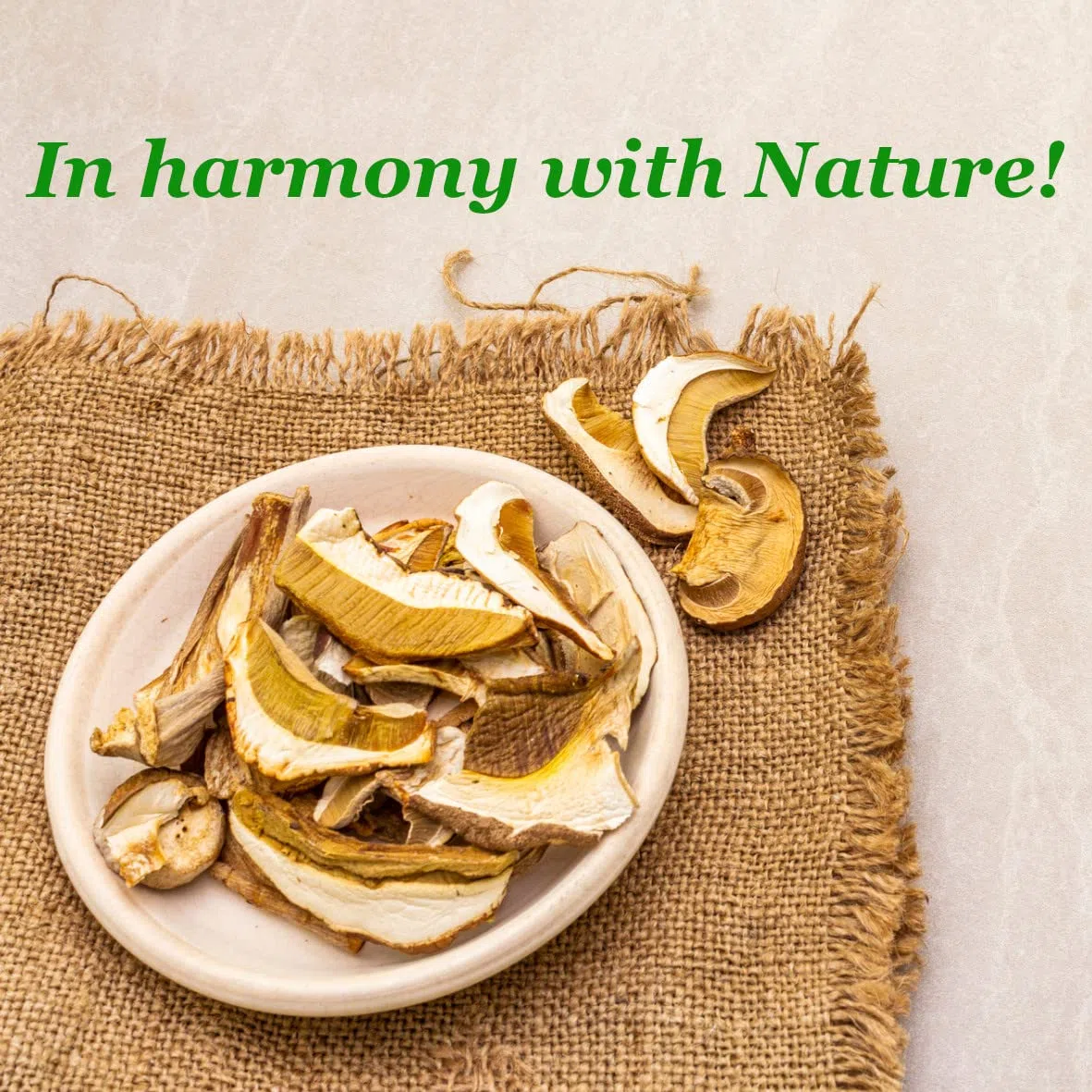 Funghi porcini in polvere 200g I Funghi porcini I Naturali I Macinati I Funghi porcini secchi I BIO LEIS in harmony with nature (200g)