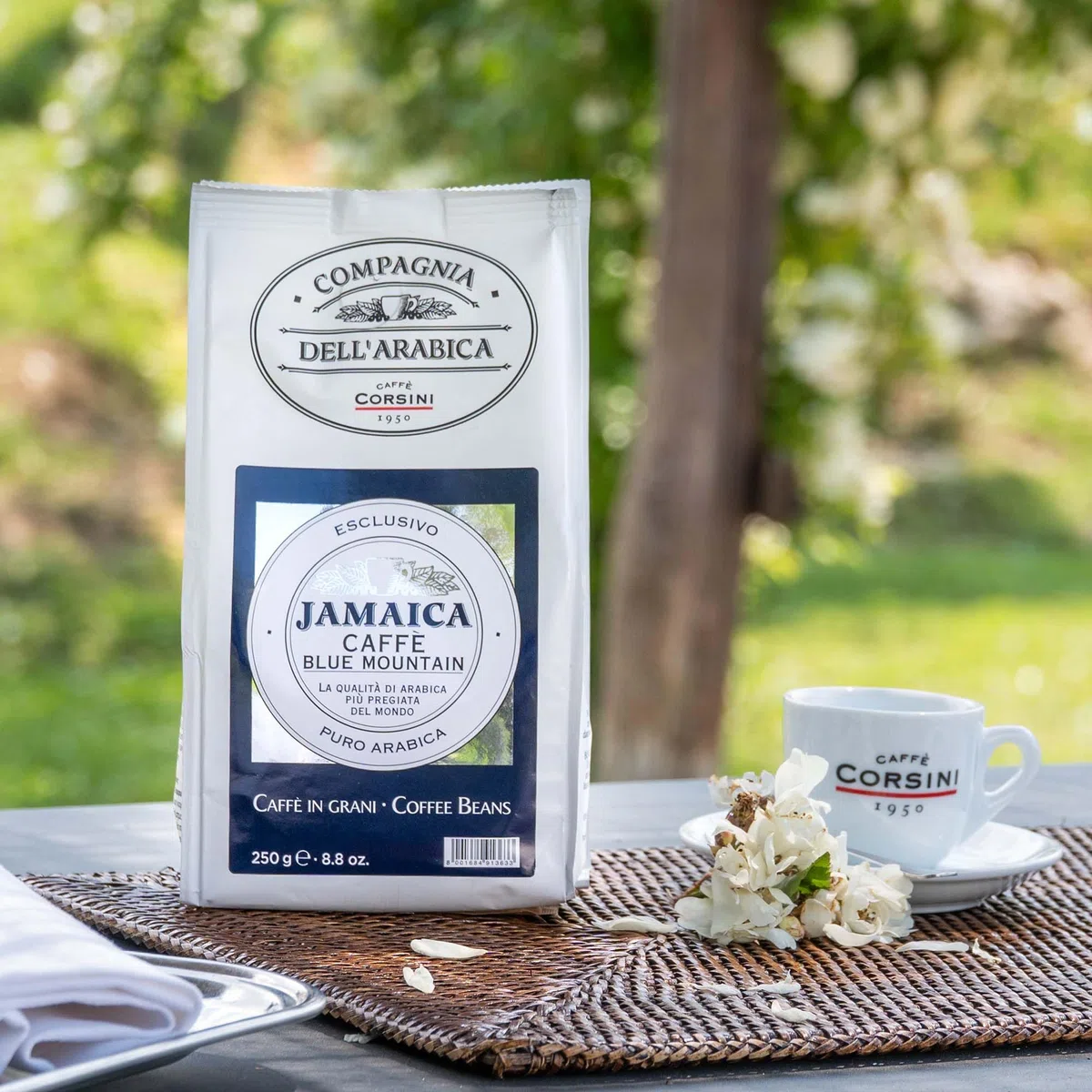 Caffè Corsini Compagnia dell'Arabica Jamaica Blue Mountain Caffè Monorigine in Grani, lo Specialty Coffee dalle Alture della Giamaica, Intenso e Fruttato, Confezione da 250 g in Grani