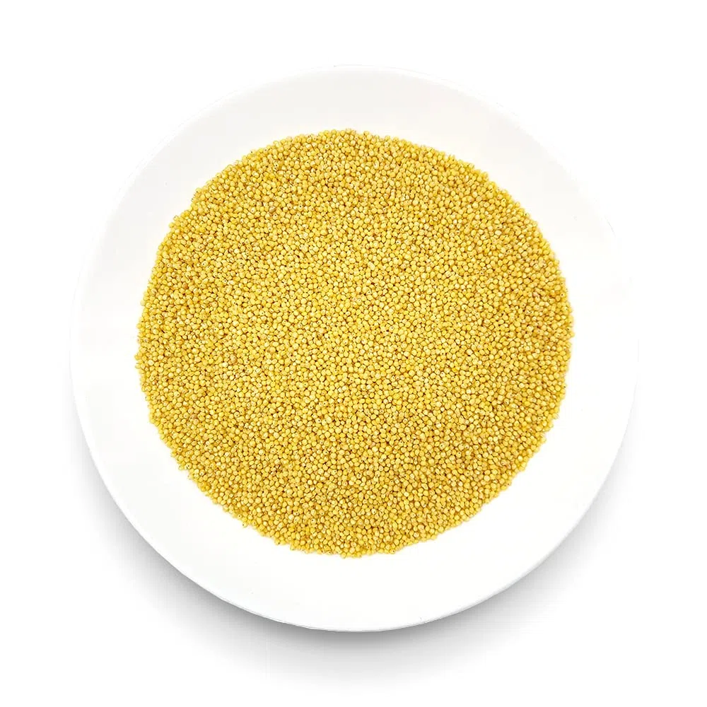 Oltresole, Miglio Decorticato Biologico 5 kg, Cereale Bio Ricco di Fibre e Minerali, Miglio Giallo in Grani per Uso Alimentare, Formato Convenienza
