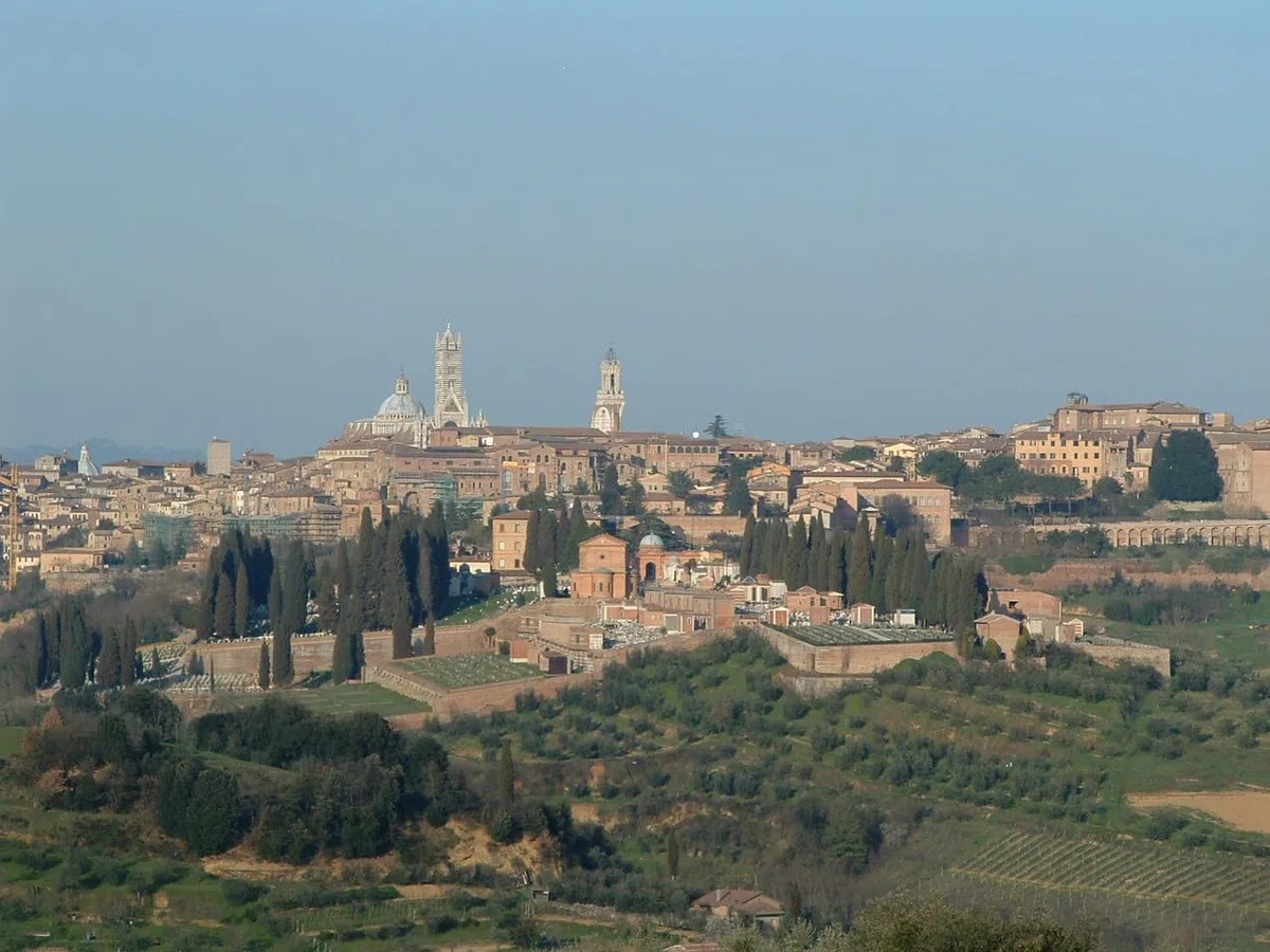 Olio Fanciulli nuovo - DOP Terre di Siena - bottiglia 0,75 L - campagna olivicola 2025/2026