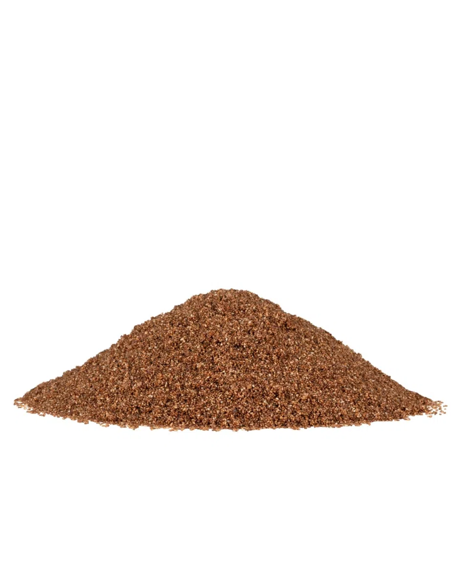 Bob's Red Mill Teff integrale, 680,4 g (confezione da 1), non OGM, cereali integrali, vegani, kosher