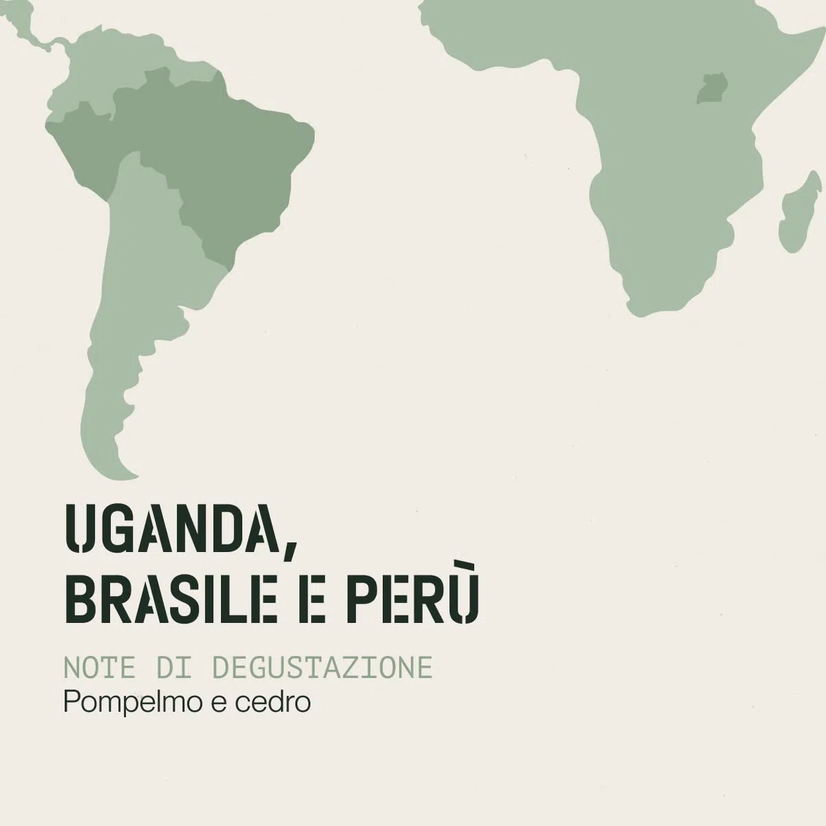 Incapto Caffè in Grani Strong Blend 1kg | Miscela 80% Arabica e 20% Robusta | Forte e Amaro | Orígines Uganda, Brasile e Perù | Tostatura Naturale