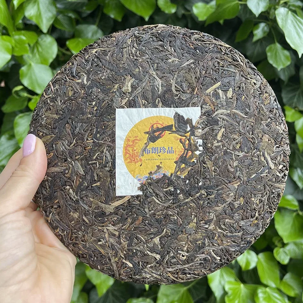 Tè Puer Sheng (crudo) Bulang Treasure 2020 Torta 357g - 10 g - Tea Soul
