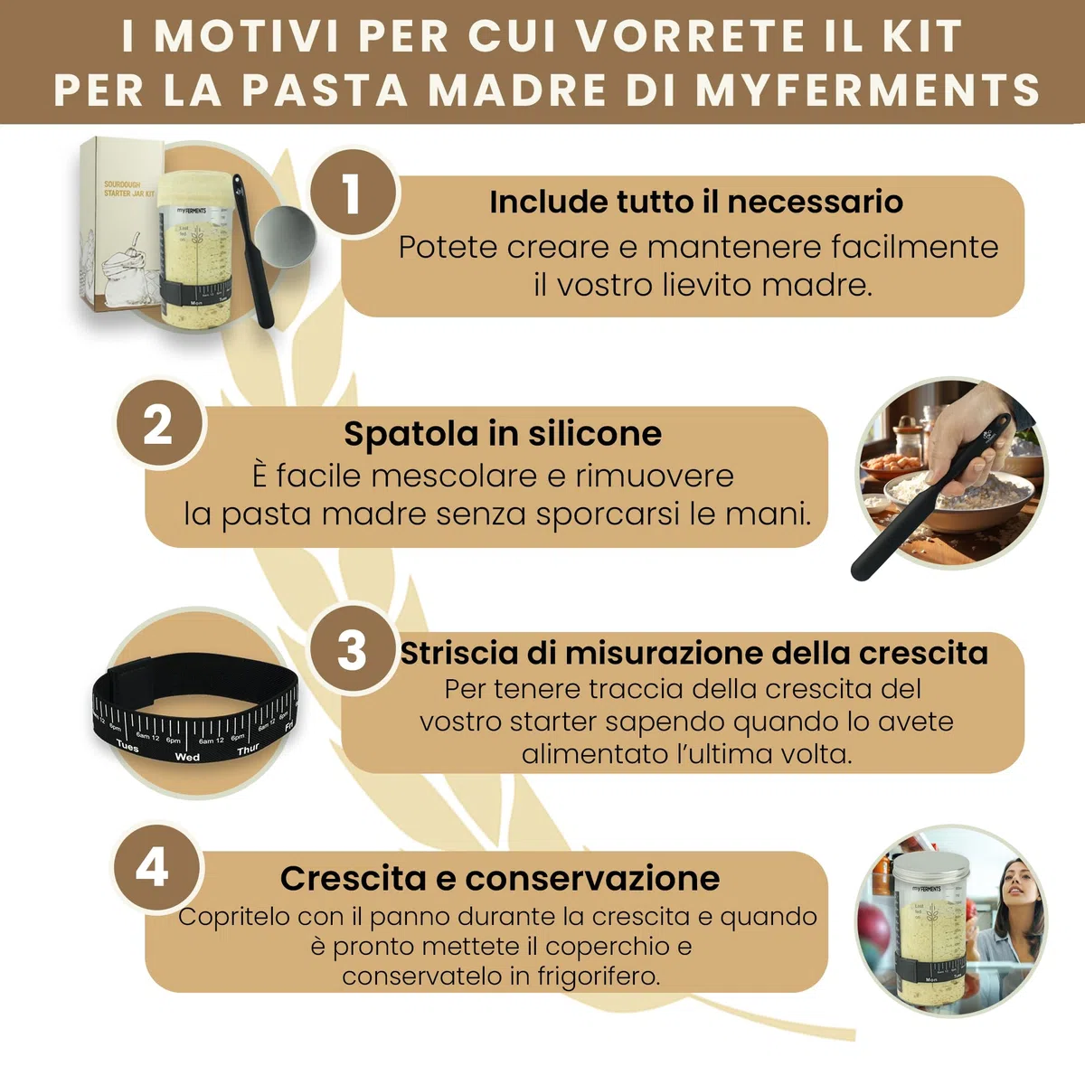 myFERMENTS - Barattolo per Lievito Madre 1000 ML | Kit Completo con Accessori | Contenitore in Vetro | Cinta Misuratrice e Termometro Inclusi | per Panificazione Casa