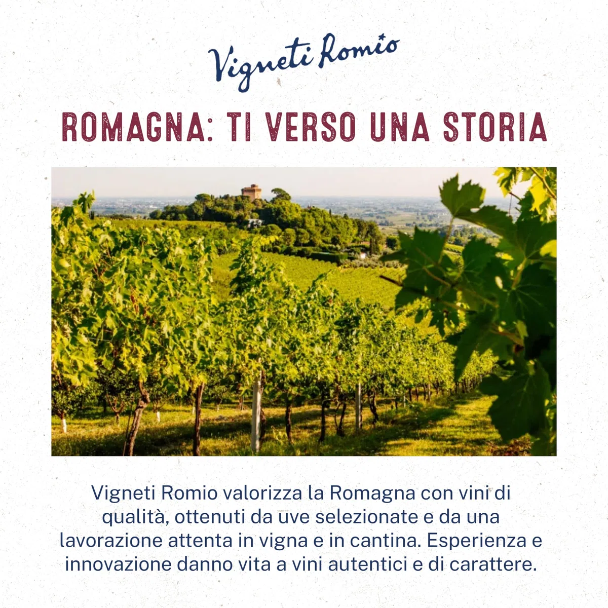 Vigneti Romio Vino Spumante Rosato Novebolle Romagna DOC, 11.5 % Vol, Confezione con 6 Bottiglie da 750 ml