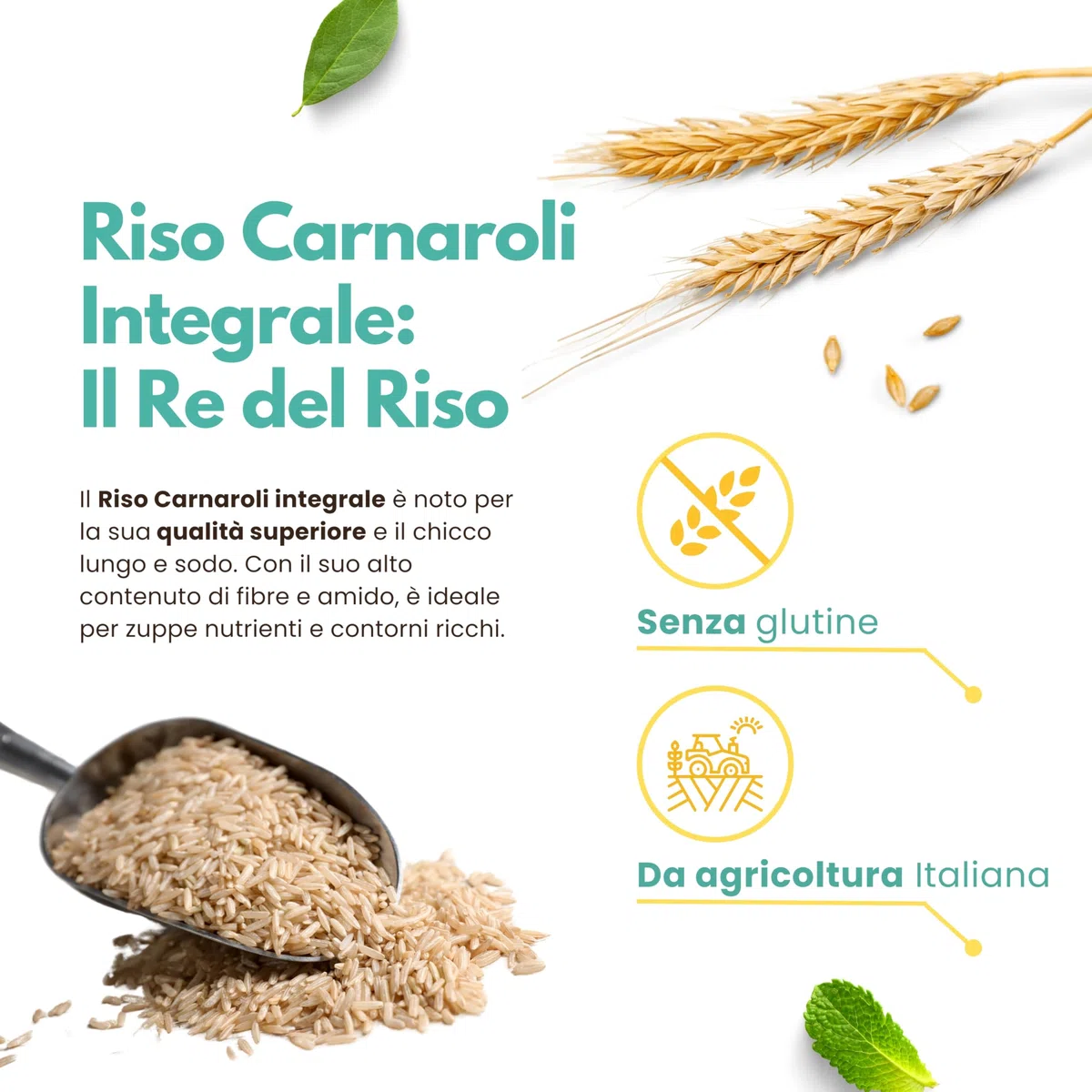 Riso Carnaroli Integrale Italiano 2 kg (2x1kg) – Chicchi Lunghi e Sodi, Ottima Tenuta in Cottura – Senza Glutine – Ideale per Risotti Integrali – 13 di Ilaria