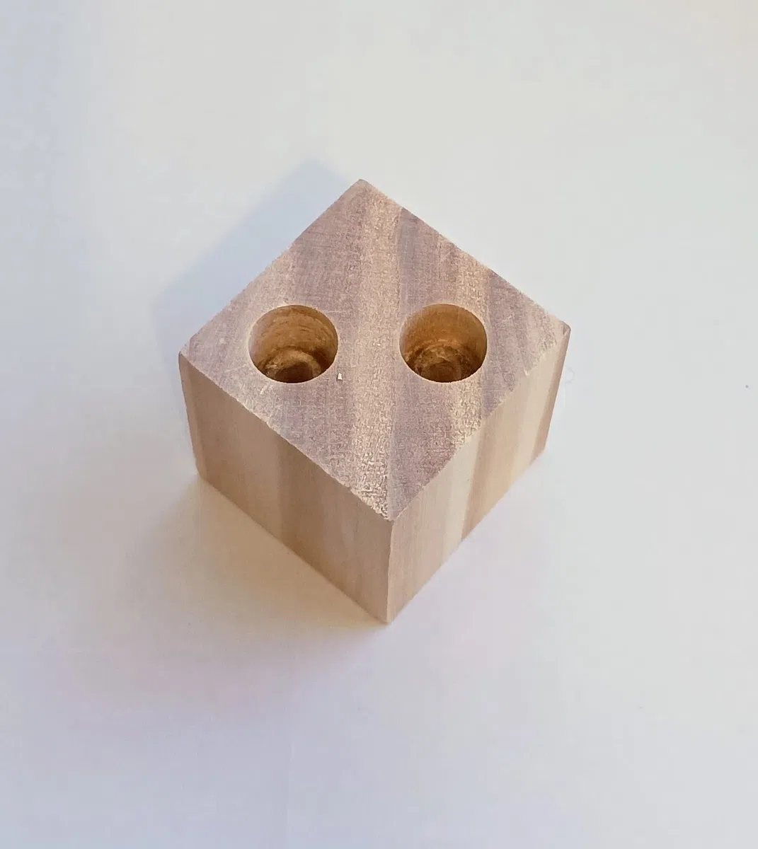 Scatola di sale con verme e cavalletta