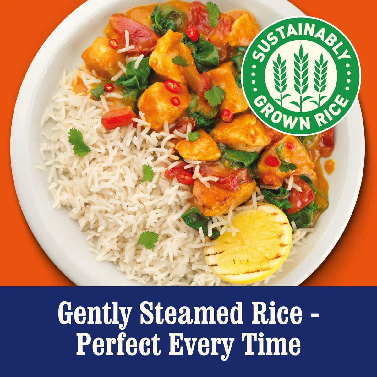 3102046031 GrocerylLand Express Long Grain di Zio Ben Rice 250G (Confezione da 6)