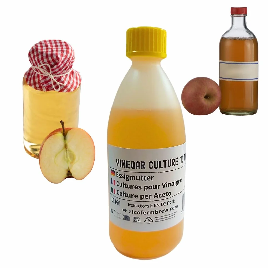 Madre di Aceto 100 ml | Batteri Acetici per Fermentazione | Starter per Aceto Fatto in Casa | Coltura Acetobacter
