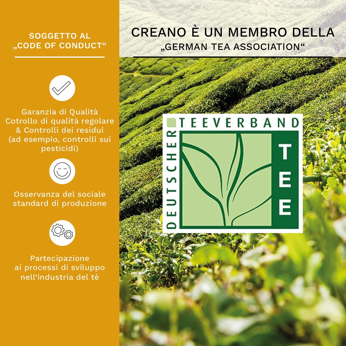 Creano Set Regalo Fiori di Tè Bianco "Tèlini" in Tazza – 12 Tè Fiorito in 4 Tipi Diversi in Elegante Scatola di Legno – Perfetto per Degustazione e Regalo Donna Uomo