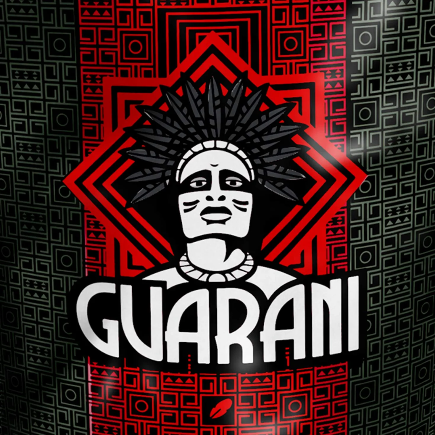 Guarani Energia Yerba Mate Tea 500 g | Yerba Mate con Guaranà | Miscela Ricca di Gusto | Infuso Naturale Paraguayano