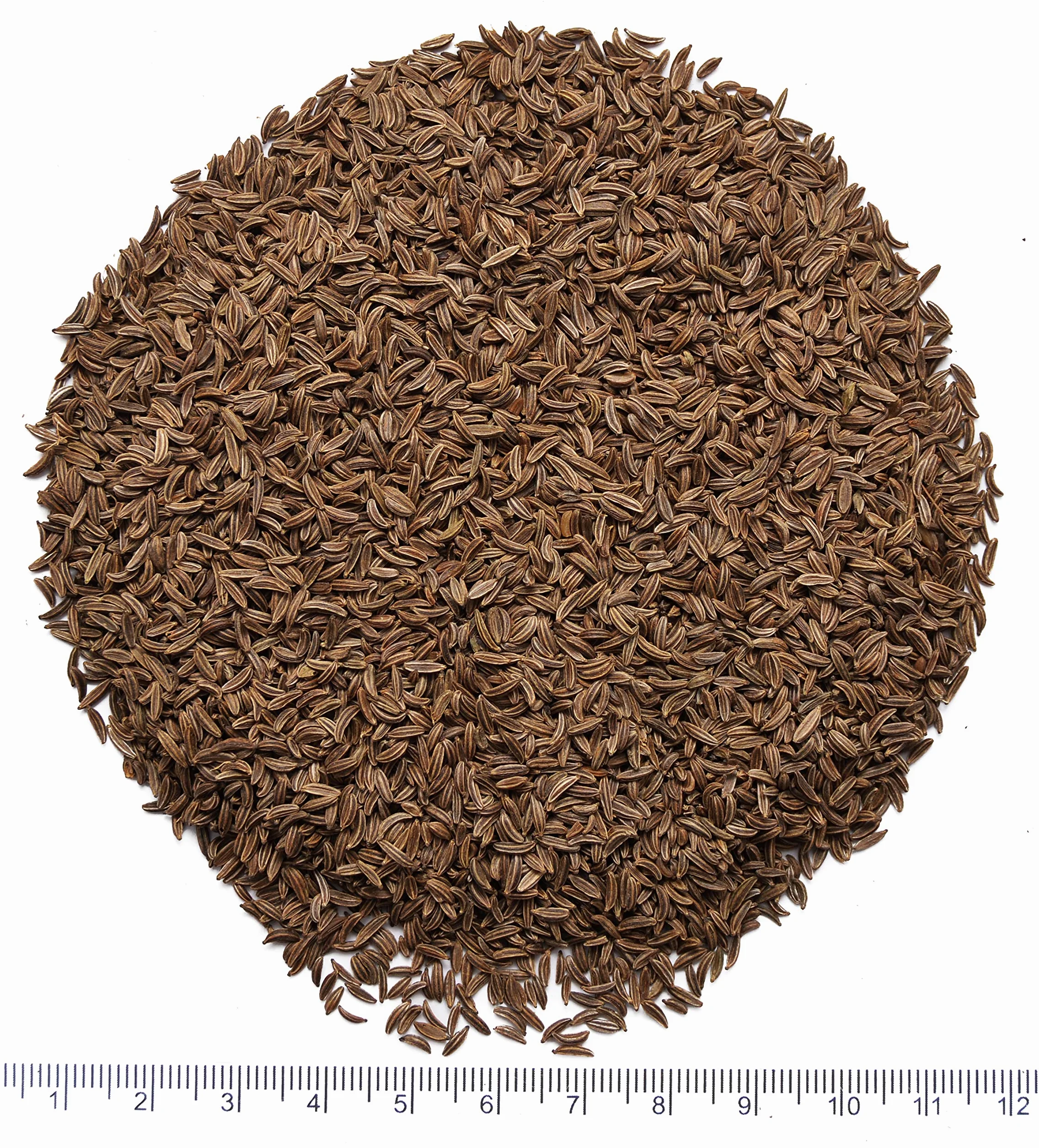 Semi di Cumino (Carum carvi fructus), Ricchi di Olio Essenziale, di Origine Europea 1KG