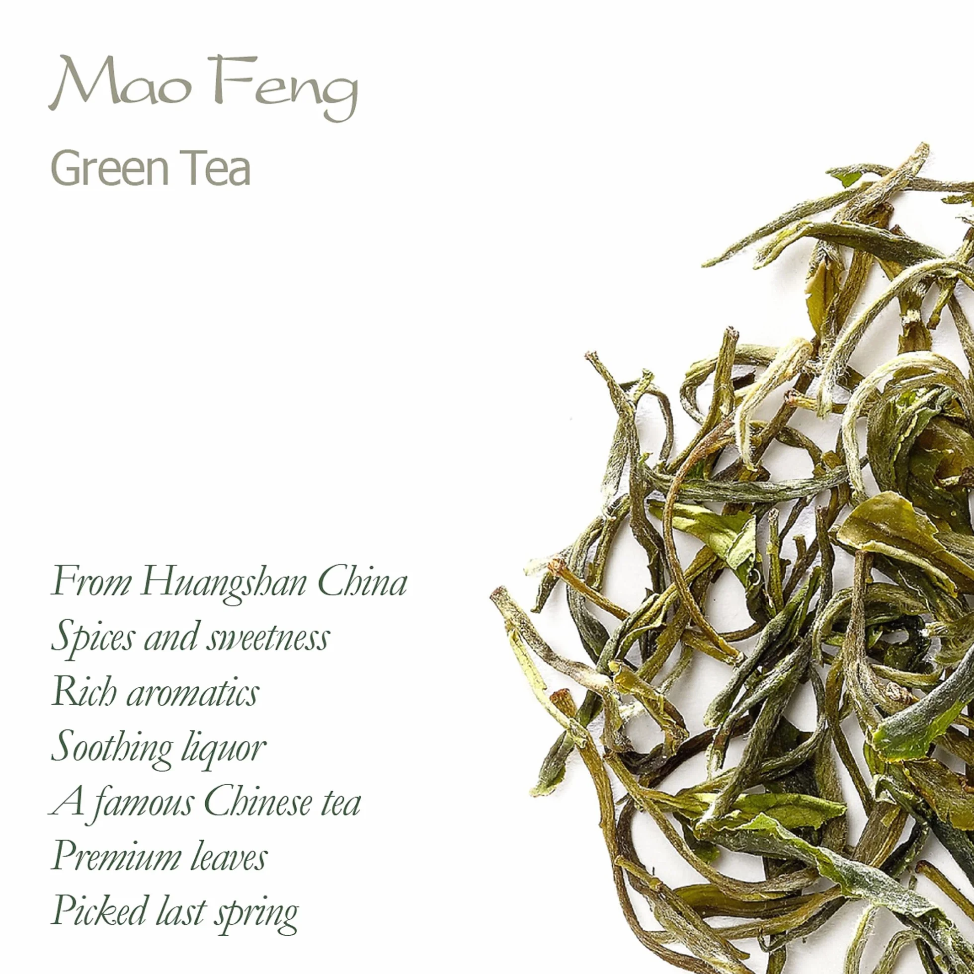 Mao Feng Tè Verde - Famoso Tè Cinese Maofeng