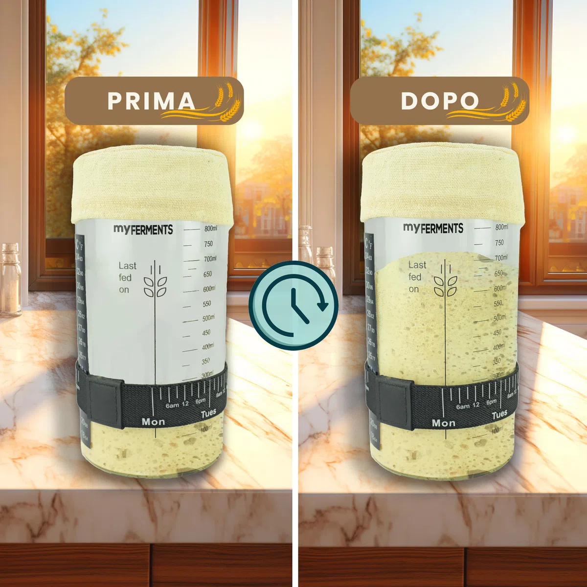 myFERMENTS - Barattolo per Lievito Madre 1000 ML | Kit Completo con Accessori | Contenitore in Vetro | Cinta Misuratrice e Termometro Inclusi | per Panificazione Casa