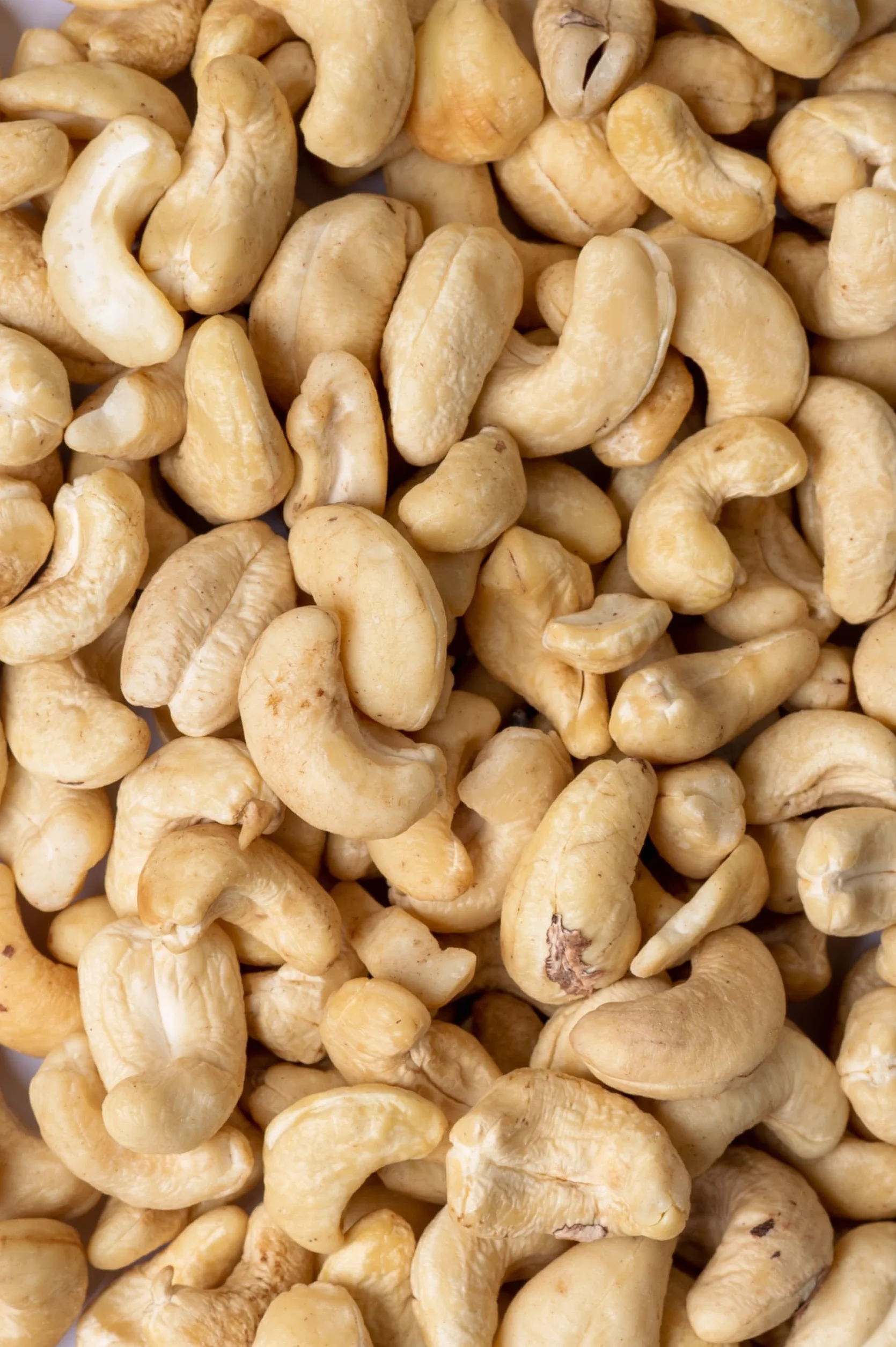 Biojoy Anacardi crudi BIO (1 kg), non salati e naturali (Anacardium occidentale)