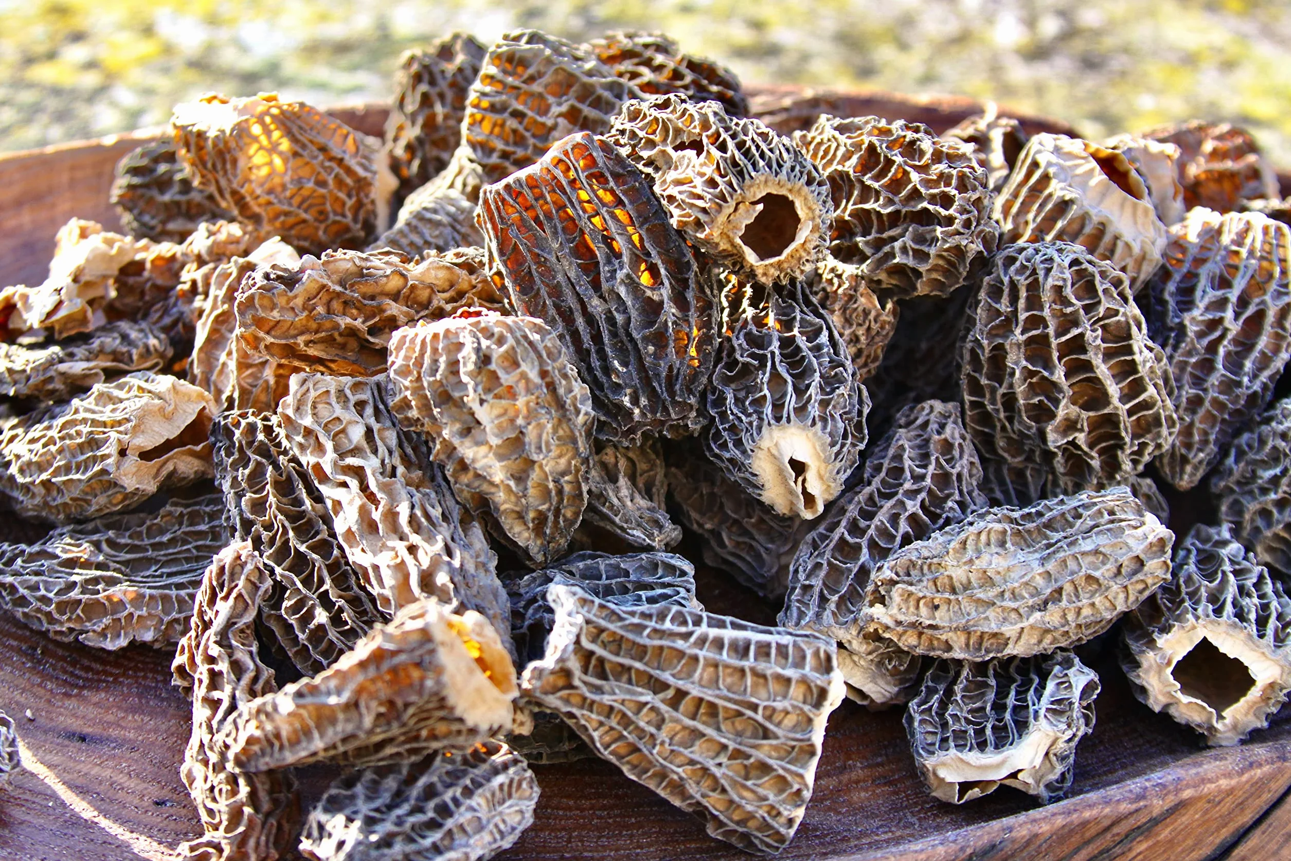 Funghi Morchella/ Spugnola - Puri Cappelli Speciali (2-6 cm) - Senza Gambe - Essiccati Al Sole - Raccolti a mano - 30g