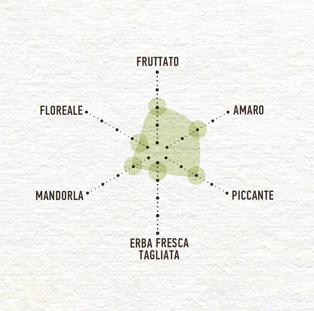 Costa d’Oro – L’Extra 3L. Olio Extravergine di oliva estratto a freddo. Sapore equilibrato, adatto a tutte le ricette e come condimento per insalate. Latta da 3 litri.