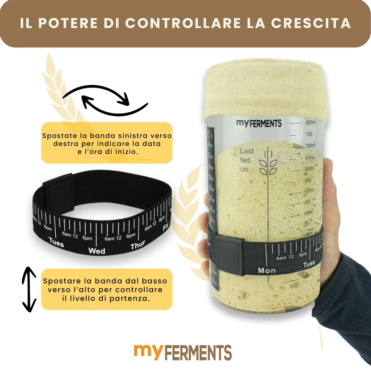 myFERMENTS - Barattolo per Lievito Madre 1000 ML | Kit Completo con Accessori | Contenitore in Vetro | Cinta Misuratrice e Termometro Inclusi | per Panificazione Casa