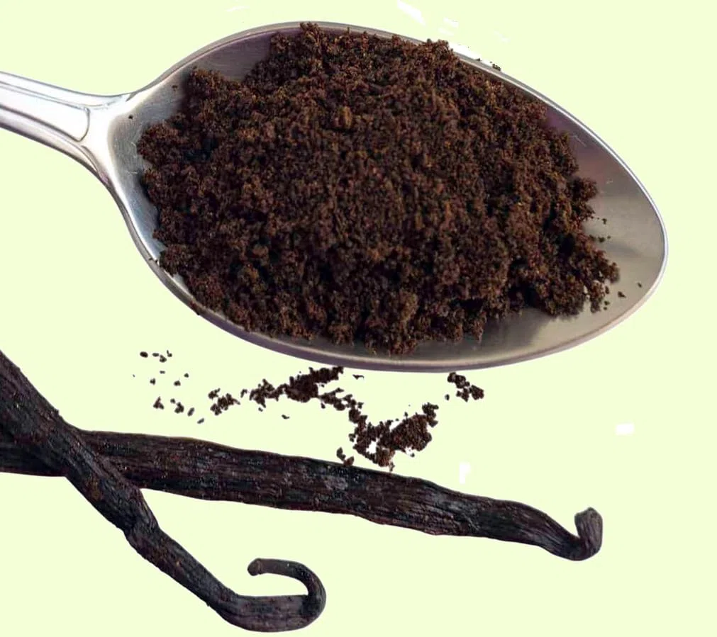 Polvere di Vaniglia Bourbon del Madagascar 100 g – 100% Naturale, Pura da Baccelli Interi – Aroma Intenso per Dolci, Creme, Gelati e Bevande – Qualità Gourmet Premium (100g)