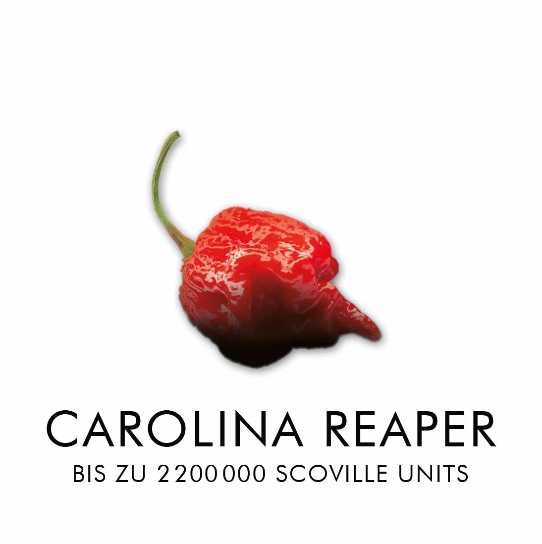 Scovilla 's Finest Reaper's KNOCKOUT 100 ml | Salsa al peperoncino estremamente piccante con Carolina Reaper | Salsa estremamente calda | ingredienti naturali al 100%