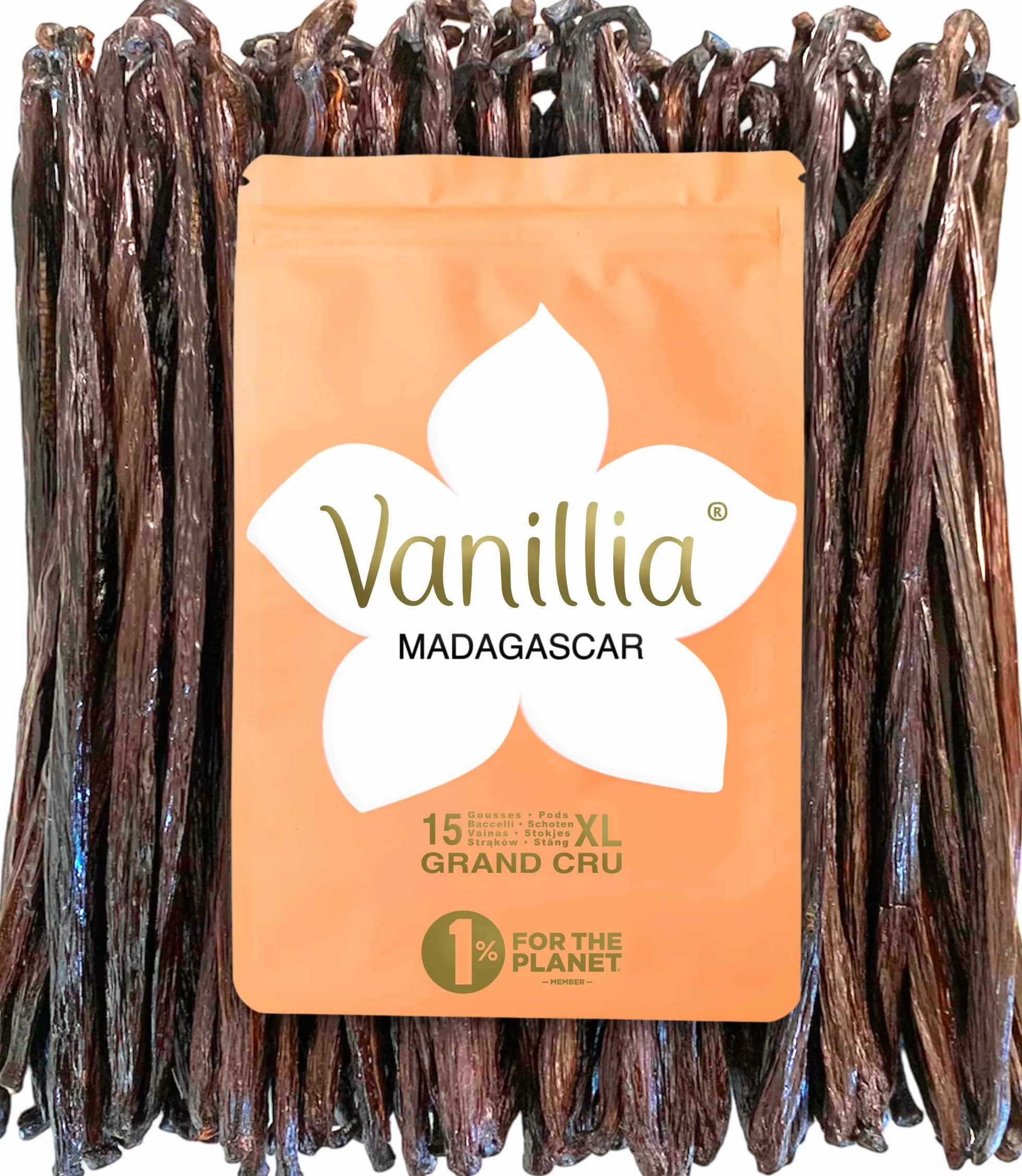 15 Baccelli XL • Vaniglia Bourbon del Madagascar • GRAND CRU • Bacche XL 15/18cm • 1 Sacchetto FreshZIP Vanillia
