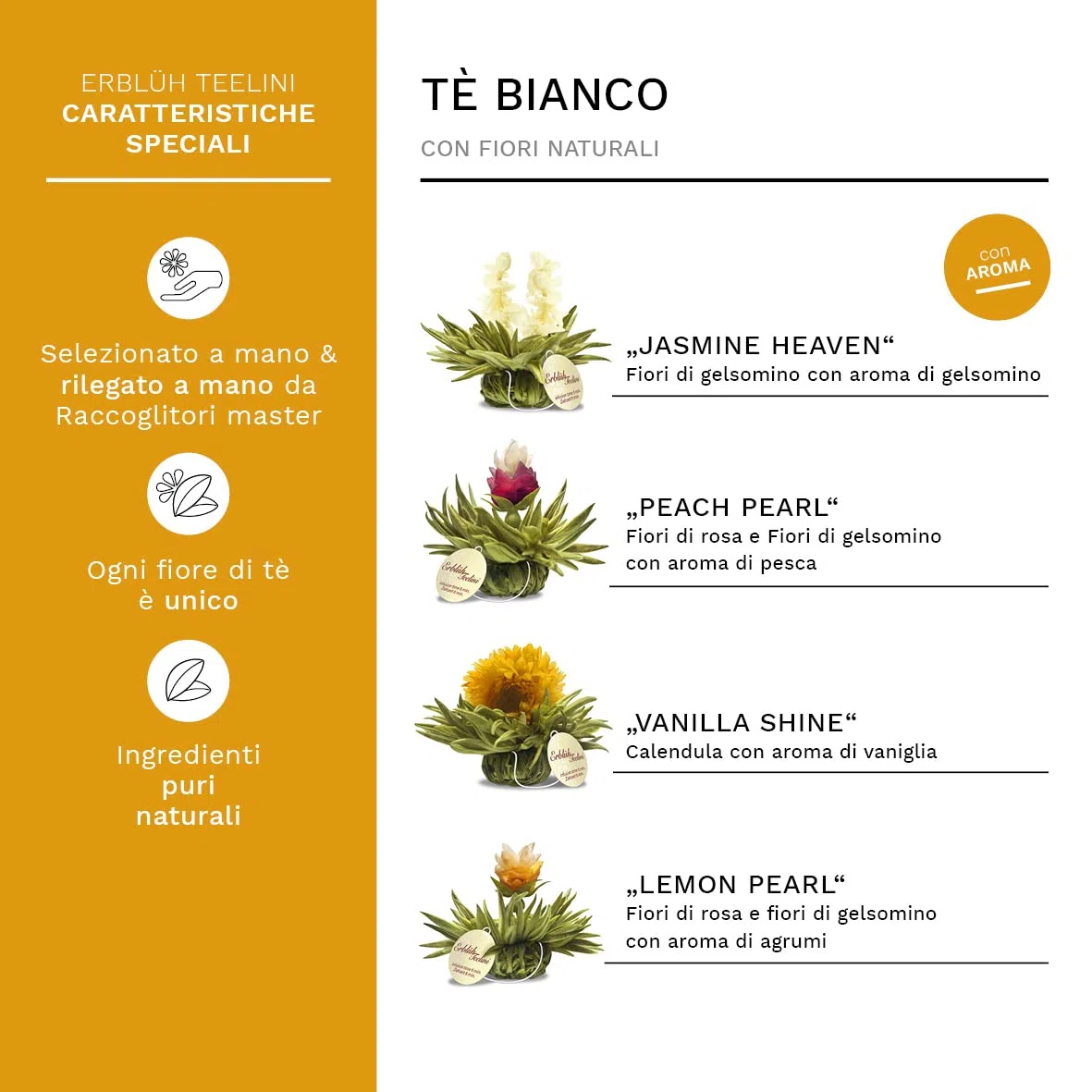Creano Set Regalo Fiori di Tè Bianco "Tèlini" – 8 Tè Fiorito con Tazza da 200ml – Ideale per Bere in Tazza, Esperienza Gourmet, Perfetto Regalo