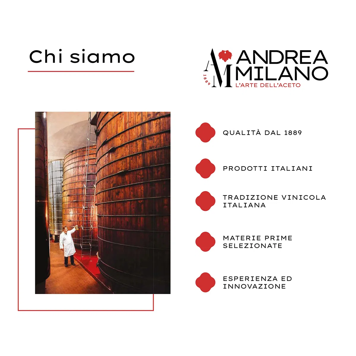 Andrea Milano, Splendi Aceto, Aceto di Alcool 100% Naturale Aromatizzato alla Mela, Acidità 8%, per Qualsiasi Impiego, Multiuso, Ideale per la Pulizia della la Casa, 12 Bottiglie PET da 1 L