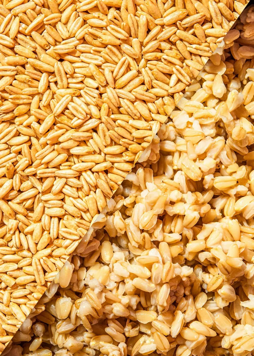KoRo - Chicchi d'avena biologici 4 x 2,5 kg - Qualità biologica - Alto contenuto di fibre - Fonte di proteine - Ideale per il porridge, la cottura al forno o come contorno