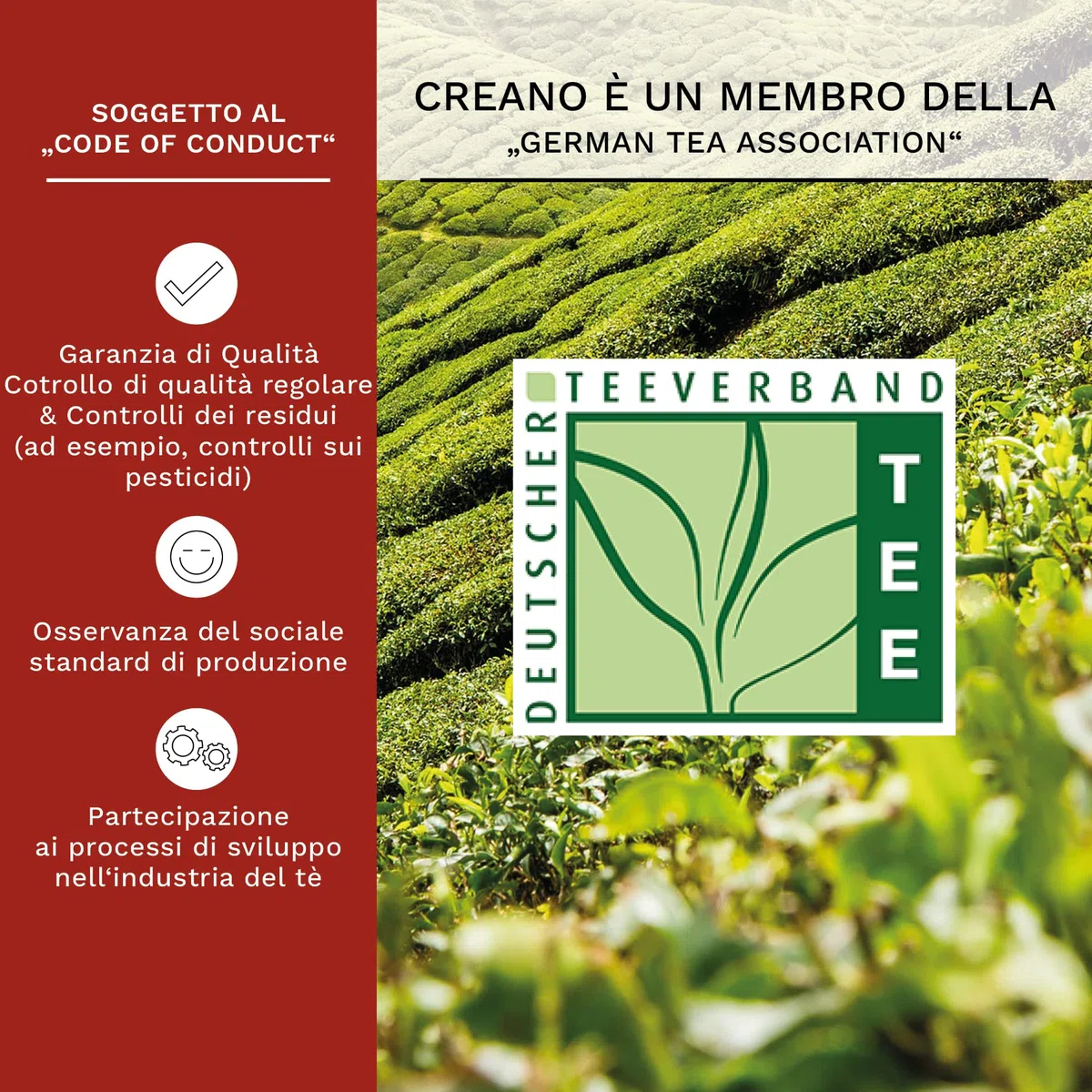 Creano Mix Gourmet Set Regalo Fiori di Tè Bianco in 6 Varietà – Include Caraffa in Vetro 500ml e 2 Tazze 200ml – Set Tè Fiorito per compleanno, natale, occasioni speciali