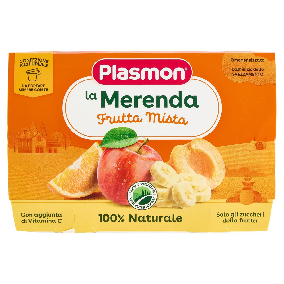 Plasmon Frutta dei Bambini - Frutta Mista 4x100g (6 Confezioni)