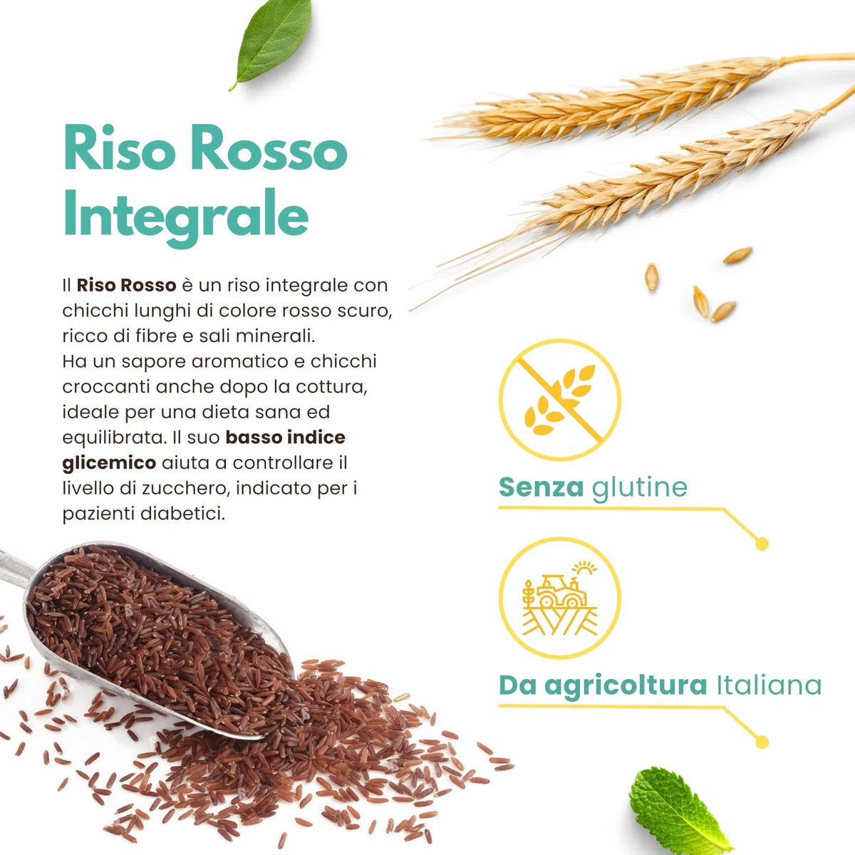 Riso Rosso Integrale Italiano 2 kg – Senza Glutine, Ricco di Fibre e Antiossidanti – Croccante e Aromatico – Coltivato in Piemonte – Ideale per una Dieta Sana e Bilanciata | 13 di Ilaria