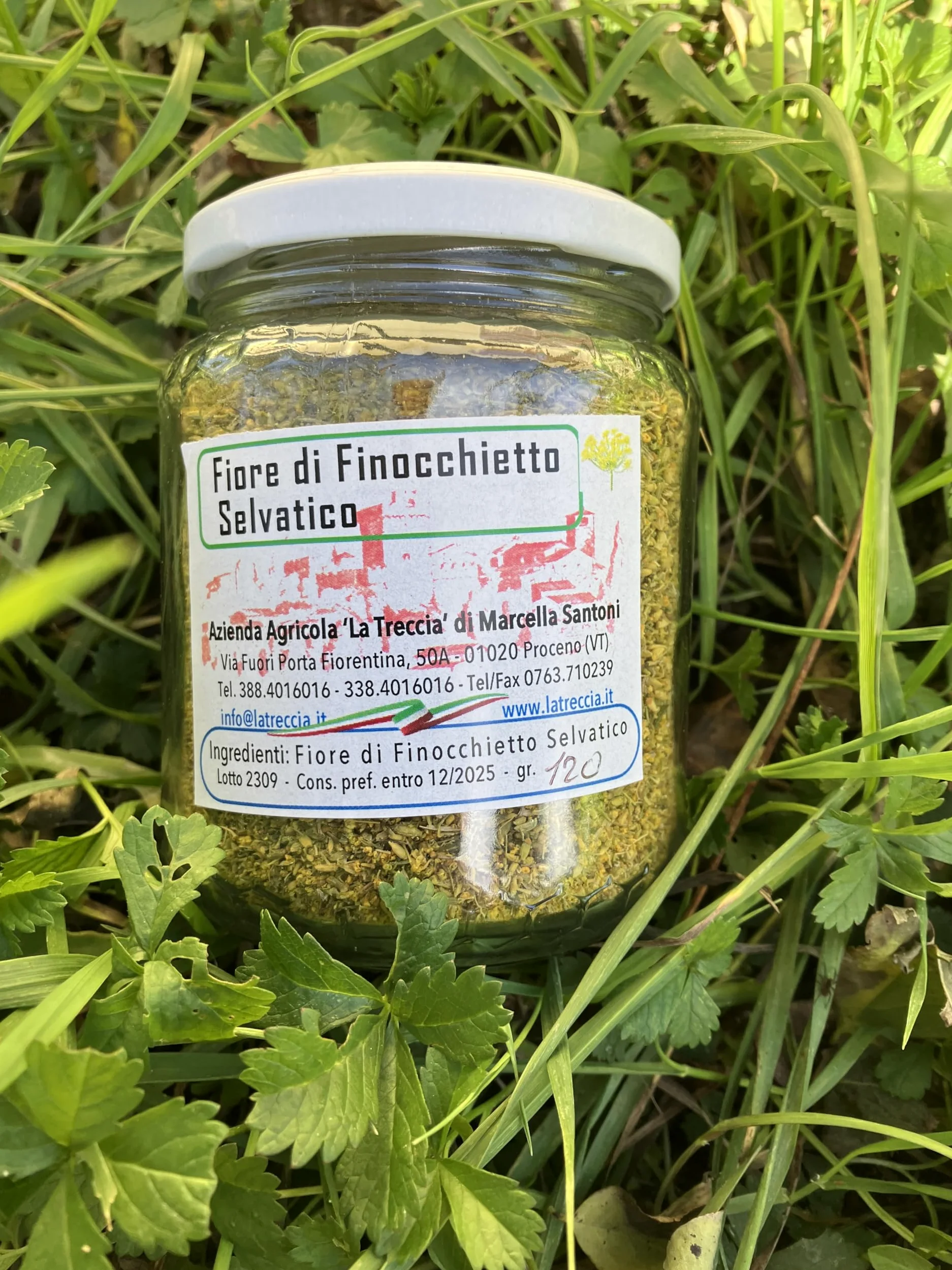 Fiore di Finocchietto Selvatico - 1 conf. da 120gr - Nostra Produzione - Lazio - Italia