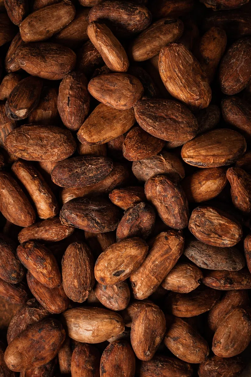 Biojoy Fave di Cacao Biologiche (500 g), crude e intere, senza zuccheri aggiunti (Theobroma cacao)