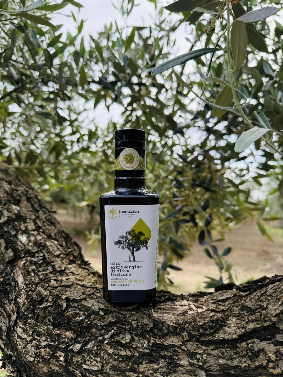 Olio EVO Tunnaliva - Olio Extra Vergine di Oliva Italiano - 100% Nocellara del Belice - IGP Sicilia - Set N.2 Bottiglie 250 mL