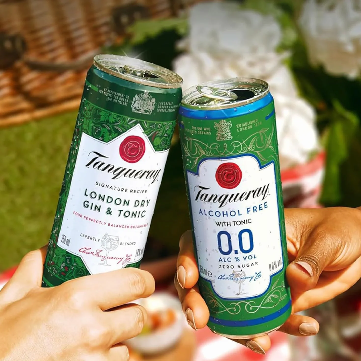 Tanqueray 0.0 - Premix Gin & Tonic Zero, Pack di 12 Lattine da 250 ml