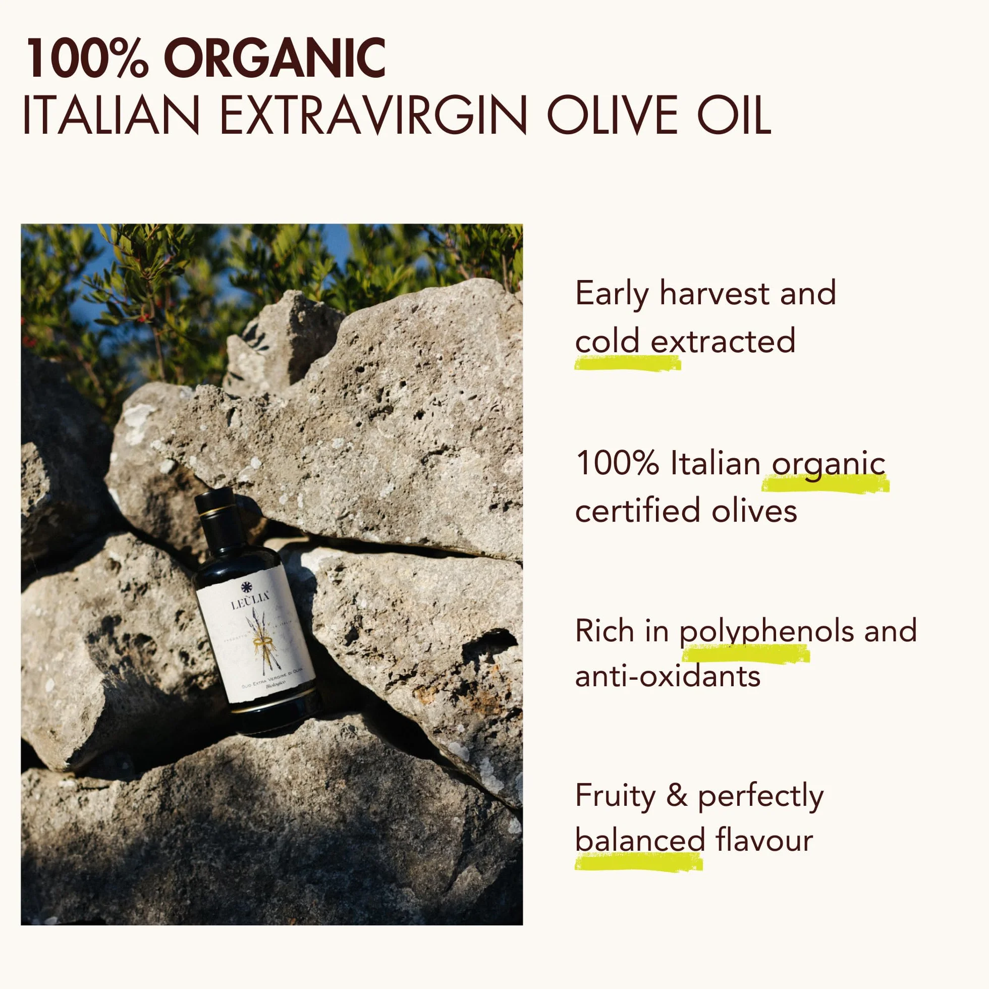 Leùlia Olio Extravergine di Oliva Biologico Italiano 2025-2026 - Bottiglia premium in vetro da 500 ml con astuccio