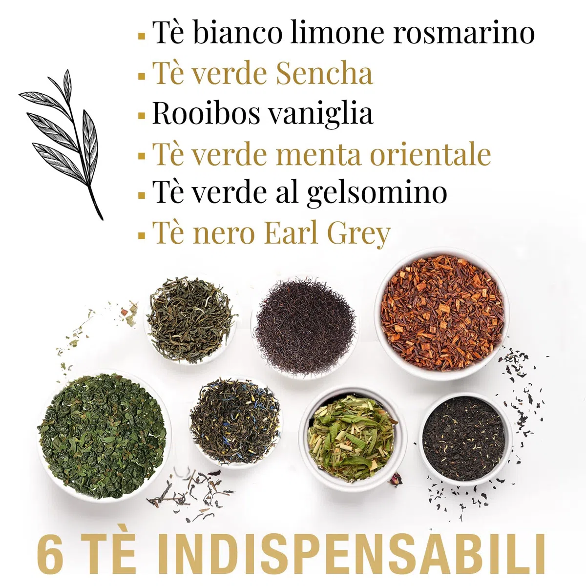ORIGEENS Cofanetto TE BIO L’ESSENTIELLE | Assortimento di Te Verde, Nero, Bianco, Rooibos | Confezione Regalo 48 bustine di tè piramidali